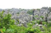 6月27日榮盛&#8226;阿爾卡迪亞首批老業(yè)主即將踏上旅途