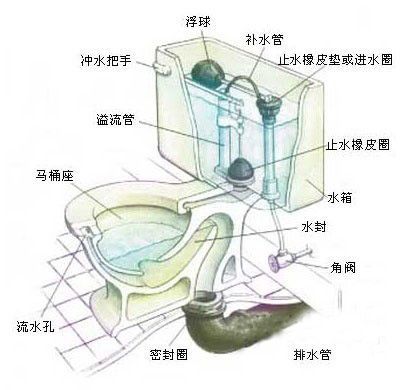 马桶堵了怎么办 分析马桶堵塞原因及解决方法