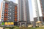 安聯(lián)水晶坊21日交房 業(yè)主們回家了 他們也完成任務了