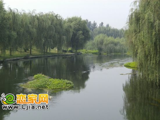 現(xiàn)代海棠灣：施工人員正在圍地和挖地槽，已開始動(dòng)工