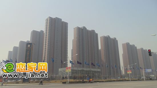 安居?xùn)|城珍貴樹種已經(jīng)移植小區(qū)內(nèi)部 綠化進(jìn)度播報(bào)