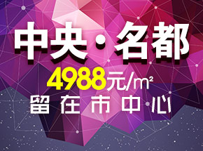 中央·名都2014年二期火爆開搶 4988元/平米起價