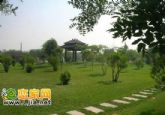 環(huán)視邯鄲哪個項目規(guī)模大 價格低 樓層又能隨便選