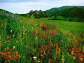 寶盛花語城讓剛需族住進(jìn)花園社區(qū)，感受炫彩人生