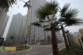 鑫域國際現(xiàn)房在售均價(jià)7000元/㎡ 寫字樓9200元/㎡
