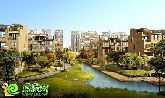 邯鄲最后一片世外桃源均價(jià)3600元 全城搶購(gòu)