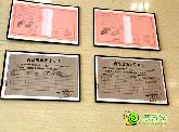 錦繡江南比薩嘉年華24日歡樂舉行 享美食品美宅