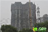 金色漫城父親節(jié)主題繪畫 拾得最真的童心