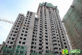 邯鄲南部準現房魅力綻放  超高性價比值得擁有