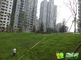 月亮灣月亮湖首次試水成功 托斯卡納園林景觀魅力顯現(xiàn)