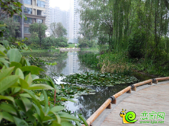美的城締造豪宅典范  引領邯城潮流