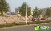 大友時代廣場工地正在排廢 預計下月中心正式動工