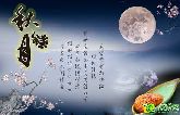 八月十五月兒圓 吃奇葩月餅品邯鄲樓盤