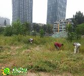 金御華府打造邯鄲第一家情景式購(gòu)物中心－格調(diào)城