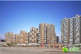 邯鄲房地產(chǎn)企業(yè)走筆 辰翔集團(tuán)用精品工程回報(bào)社會(huì)
