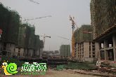 價格“落后” 進度不落后 卓冠美景城現蓋至12層