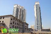 幾天不見(jiàn)又有新變化 錦繡江南最新實(shí)景搶先看