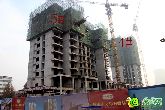 盛瑞華庭東區(qū)最新進度 4#樓建至17層 5#樓建至12層