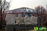 提前探秘恒大名都項目 售樓部驚爆你的眼球