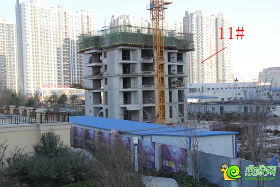 滏陽原著多棟進(jìn)度圖曝光 快來看看蓋到多少層了
