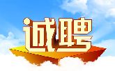 河北卓冠房地產(chǎn)開發(fā)有限公司 現(xiàn)誠(chéng)招會(huì)計(jì)主管一名