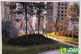 現(xiàn)代頤和苑水煤氣管道安裝完畢  小區(qū)園林現(xiàn)雛形