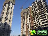 萬(wàn)浩金百合零距離！實(shí)景拍攝，大波美圖來襲