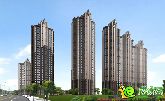 我們是不是經(jīng)常這樣 看完別哭 玉如意 返鄉(xiāng)的選擇