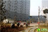 邯鄲樓市陣痛讓人認(rèn)清現(xiàn)房的好 左岸楓橋5100元/㎡