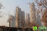 金百合三成首付引動(dòng)全城 90㎡—280㎡火爆咨詢中