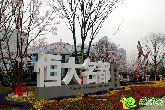 恒大名都年中大優(yōu)惠最后一周 最高優(yōu)惠18萬/套