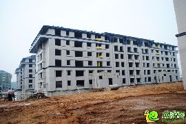 陽光東尚香樟園正在做外立面 彰顯尊貴大氣風范