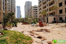 御趙金臺別墅交房前的掠影  園林還在建設(shè)中
