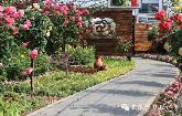 有一種生活 值得等待 鉑爾縵國際公館樣板間即將開放