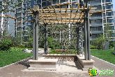 錦繡江南一期園林已順利完工 小區(qū)內(nèi)綠意盎然