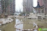 阿爾卡迪亞三期·陽光苑最新進(jìn)度：小區(qū)道路建設(shè)中