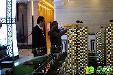 【中船·漢光華府】民俗文化節(jié) 花鳥字專場精彩上演