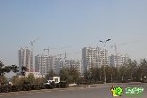 紫御豪庭進(jìn)度神速 現(xiàn)6棟住宅已全面封頂