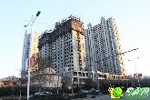 金色漫城就在那直挺挺的矗立了一年？！