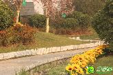 【榮盛江南錦苑】1元秒搶榮盛房活動最后一天
