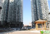 這些實(shí)景你絕對(duì)沒(méi)見(jiàn)過(guò) 遠(yuǎn)洋新興公館近照曝光