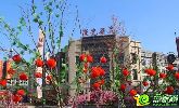 中船·漢光華府7#樓即將售罄，僅剩十余套