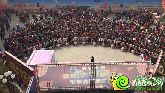 恒大名都12#終極樓王火爆加推 海獅表演親情助陣