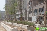 鑫都匯最新進(jìn)度狀況 主抓商鋪建設(shè)才是王道