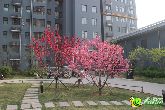【錦繡江南】本土企業(yè)怎會忽悠“自己人”？