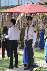 5月29日，碧桂園天璽品牌盒子盛大開幕 禮獻(xiàn)邯鄲