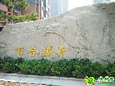 萬浩金百合西區(qū)提前206天于6月9日全面霸氣交房