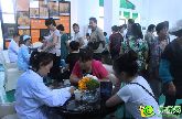 碧桂園翡翠郡攜手元化醫(yī)療，構(gòu)建國際化健康社區(qū)