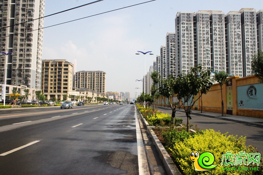 邯郸市东柳大街实景图