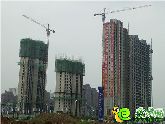 中國(guó)女排里約奪冠 來(lái)趙都華府百步穿楊凌空飛射！